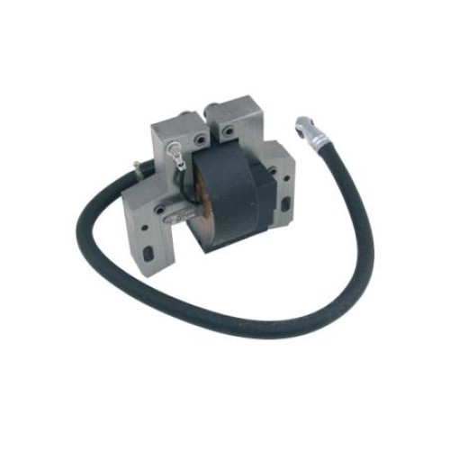 ΗΛΕΚΤΡΟΝΙΚH ΑΝΑΦΛΕΞH BRIGGS&STRATTON