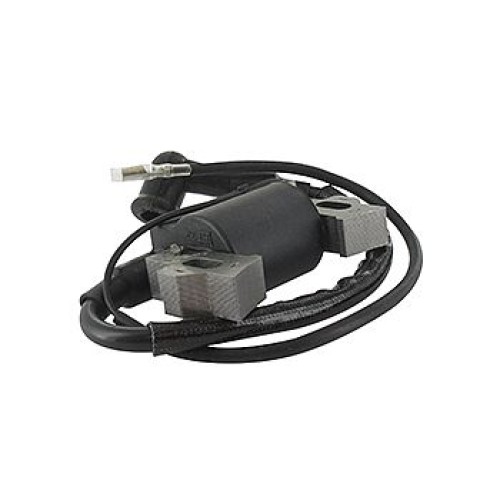 ΗΛΕΚΤΡΟΝΙΚH ΑΝΑΦΛΕΞH BRIGGS&STRATTON