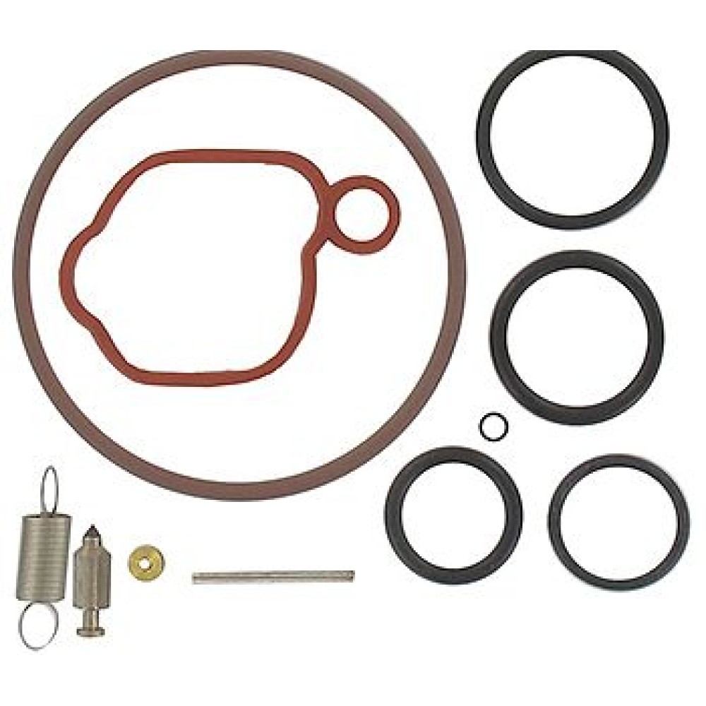 ΜΕΜΒΡΑΝΕΣ ΣΕΤ BRIGGS & STRATTON ΜΕΜΒΡΑΝΕΣ ΣΕΤ BRIGGS & STRATTON