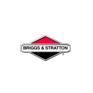 BRIGGS & STRATTON